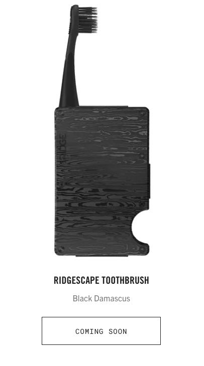 Ridgescape toothbrush